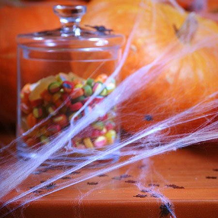 Halloween spindelvæv med edderkopper hvid edderkoppespind