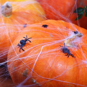 Edderkopper Halloween 3cm, 10 stk. festartikler