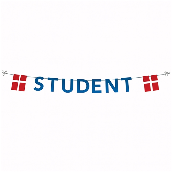 Guirlande Blå Student og flag Dannebrog 4m studenterpynt
